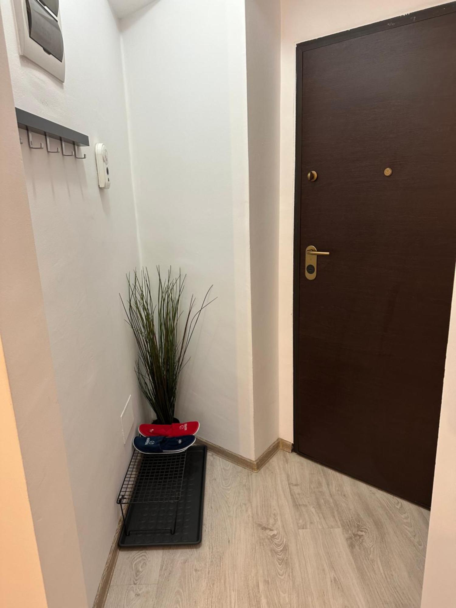 Central Studio Bucur Bucureşti Eksteriør bilde